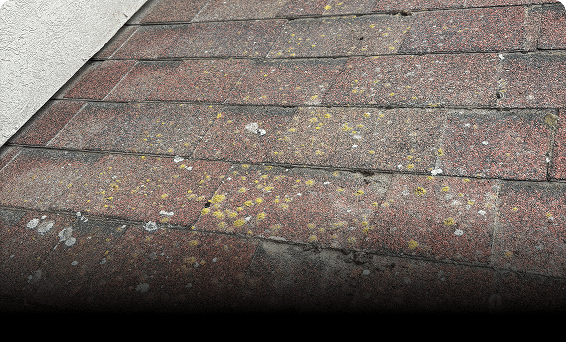 Before exterior cleaning — Roof Wash Pasco